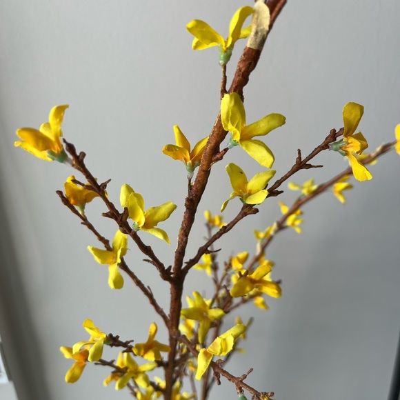 Faux Forsythia Flower Stem - Picture 2 of 4